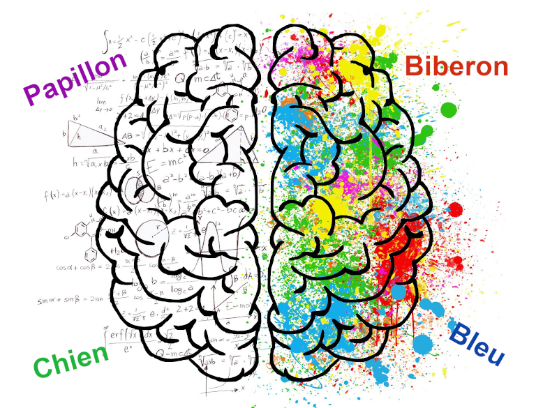 Le super cerveau de votre enfant: le langage